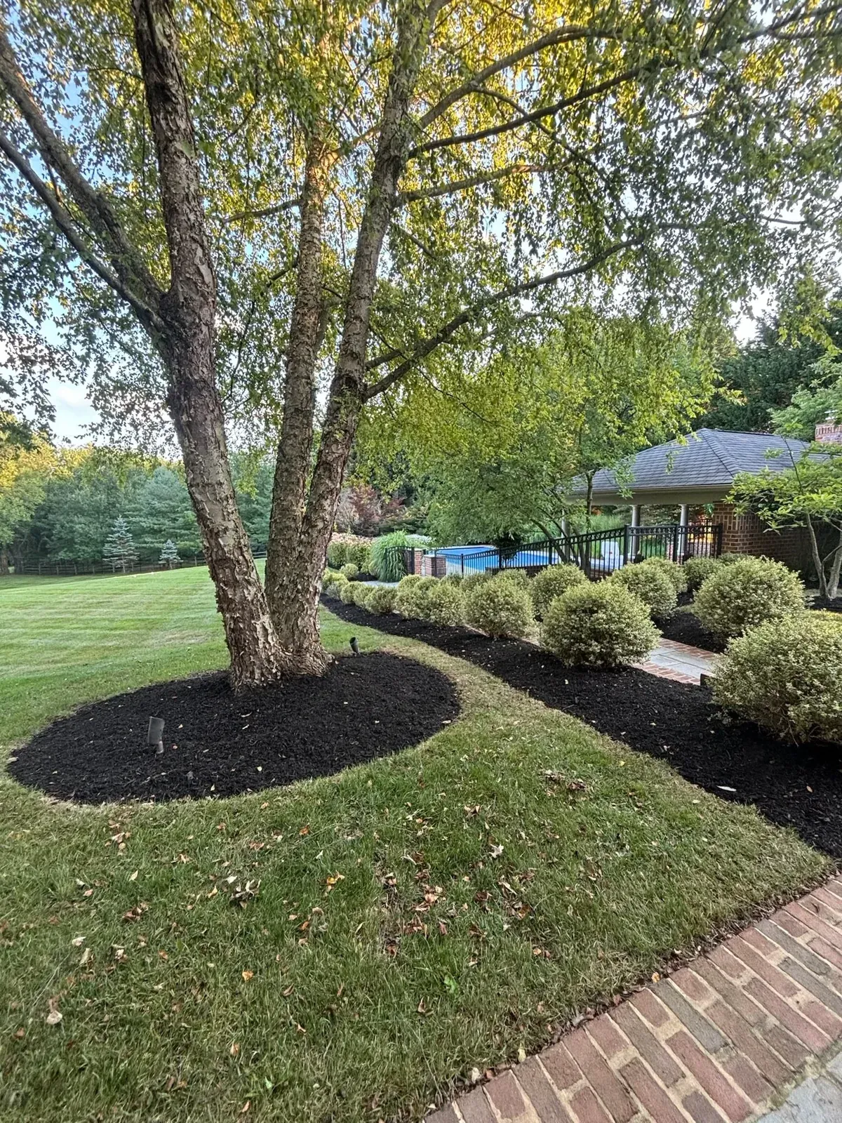 Bed, tree and lawn worked together