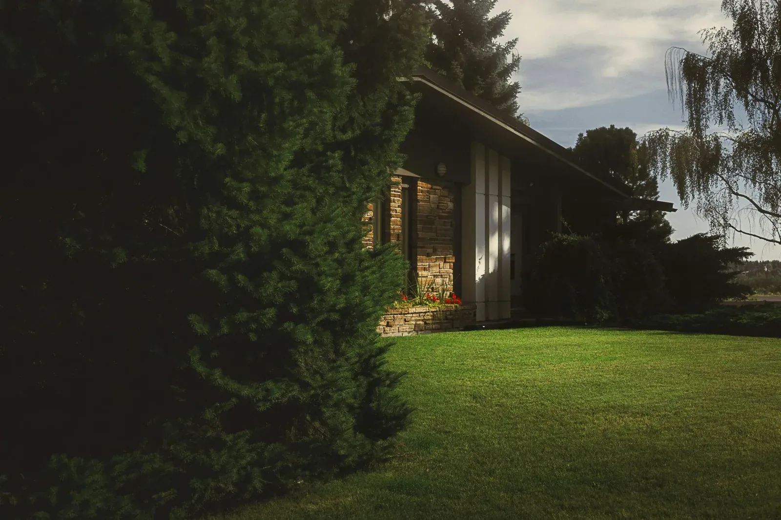 New Sod & Lawn Renovation, Baltimore County