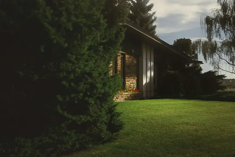 New Sod & Lawn Renovation in Baltimore County