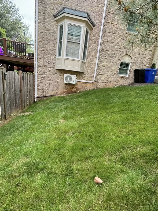 Established lawn after renovation