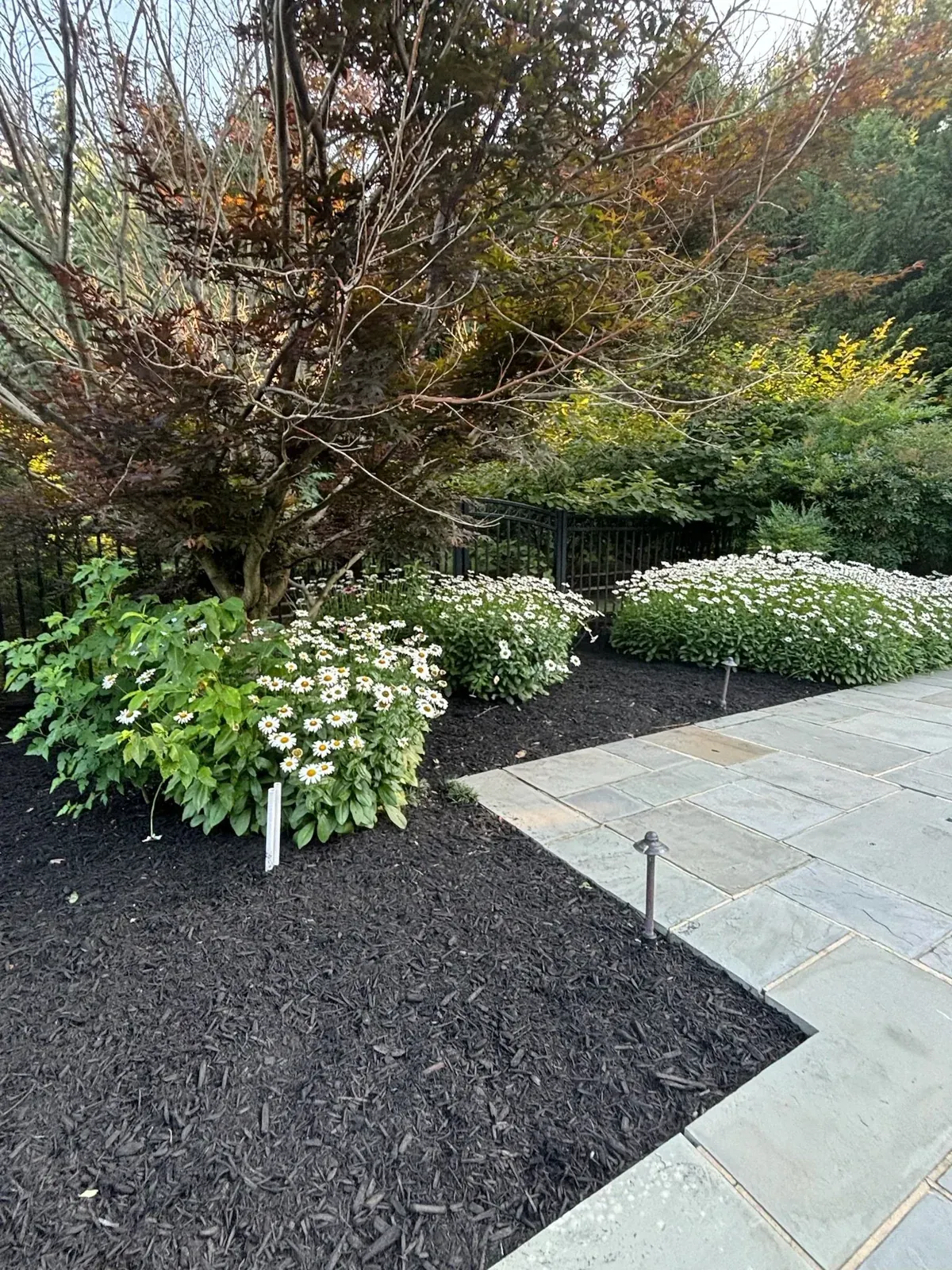 Perennial border set against bluestone