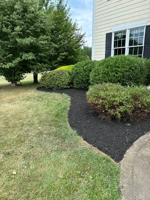 Bed edge re-cut into the lawn