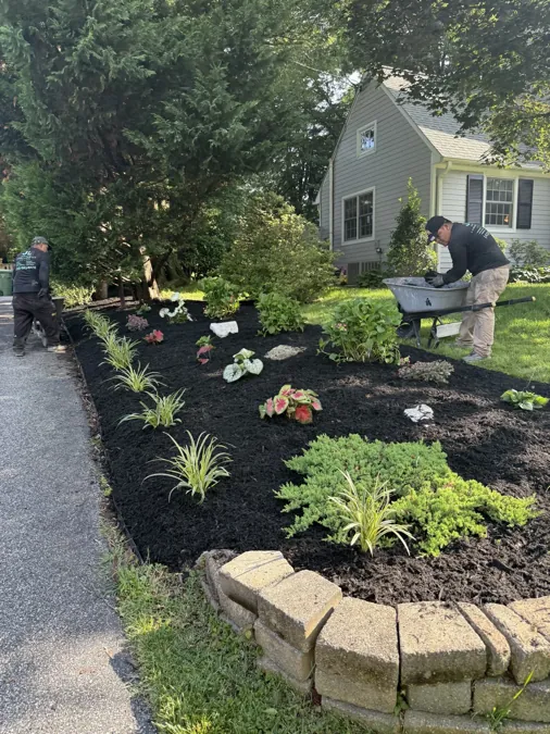 Stone-edged bed cleared and replanted
