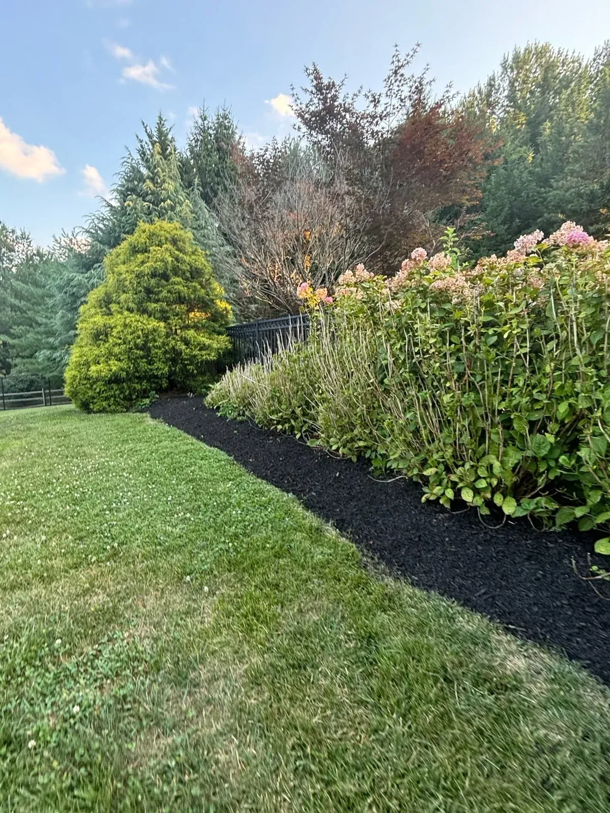 Mulching & Planting in Overlea, MD