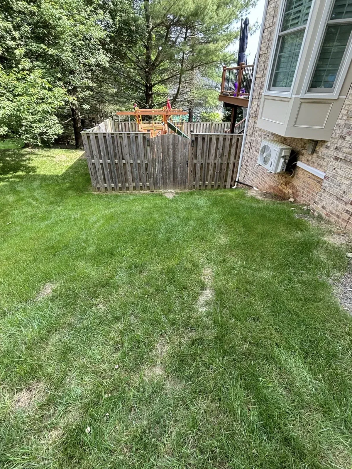 Mown lawn and fence line