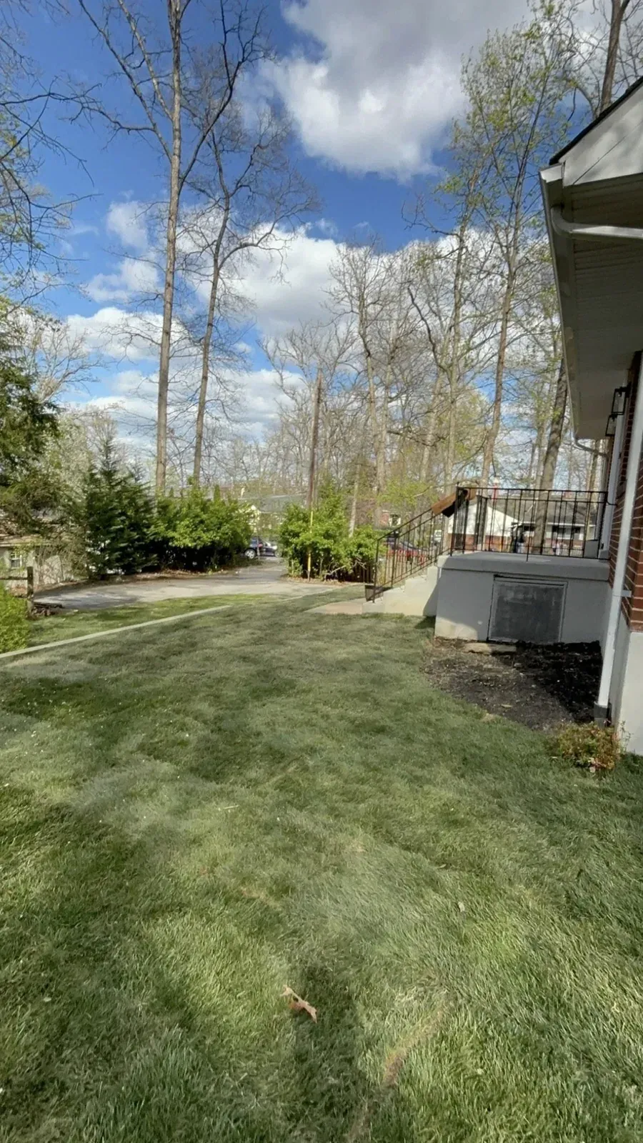 Back lawn and tree line after a cut
