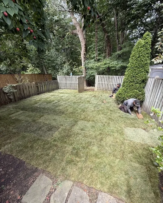 Fresh sod going down in a fenced back yard